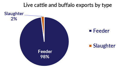 Feeder: 98%, slaughter: 2%