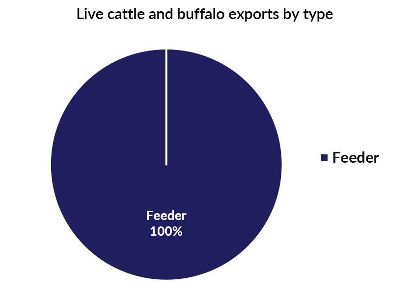 Pie chart