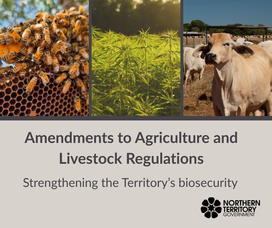 Strengthening and modernising NT agriculture through key reforms