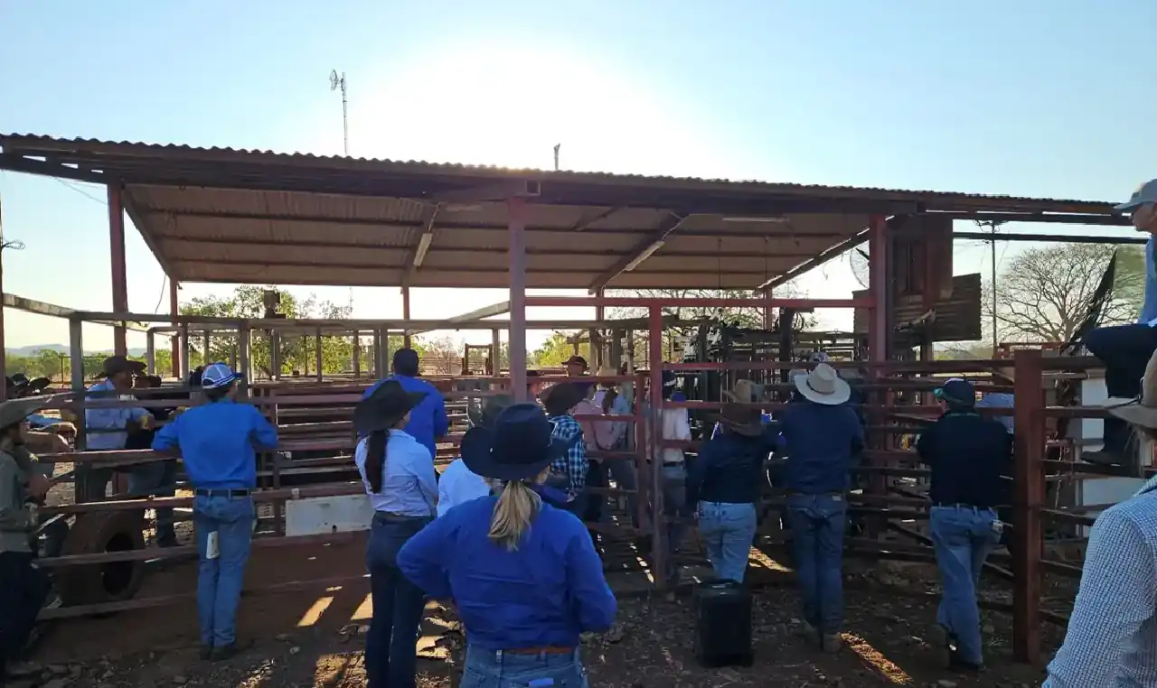 Paddock tour - Virtual Fencing collar fitting demo