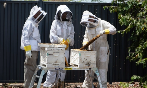 Beekeeper registrations are now easier to complete online