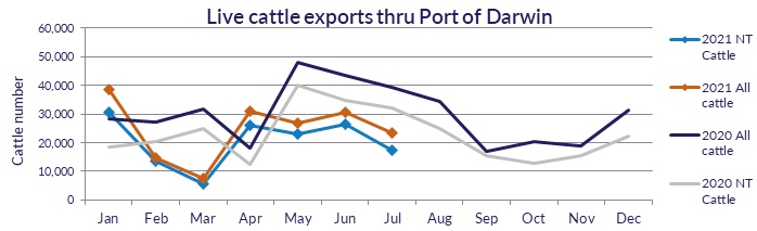 Live cattle exports thru Port of Darwin