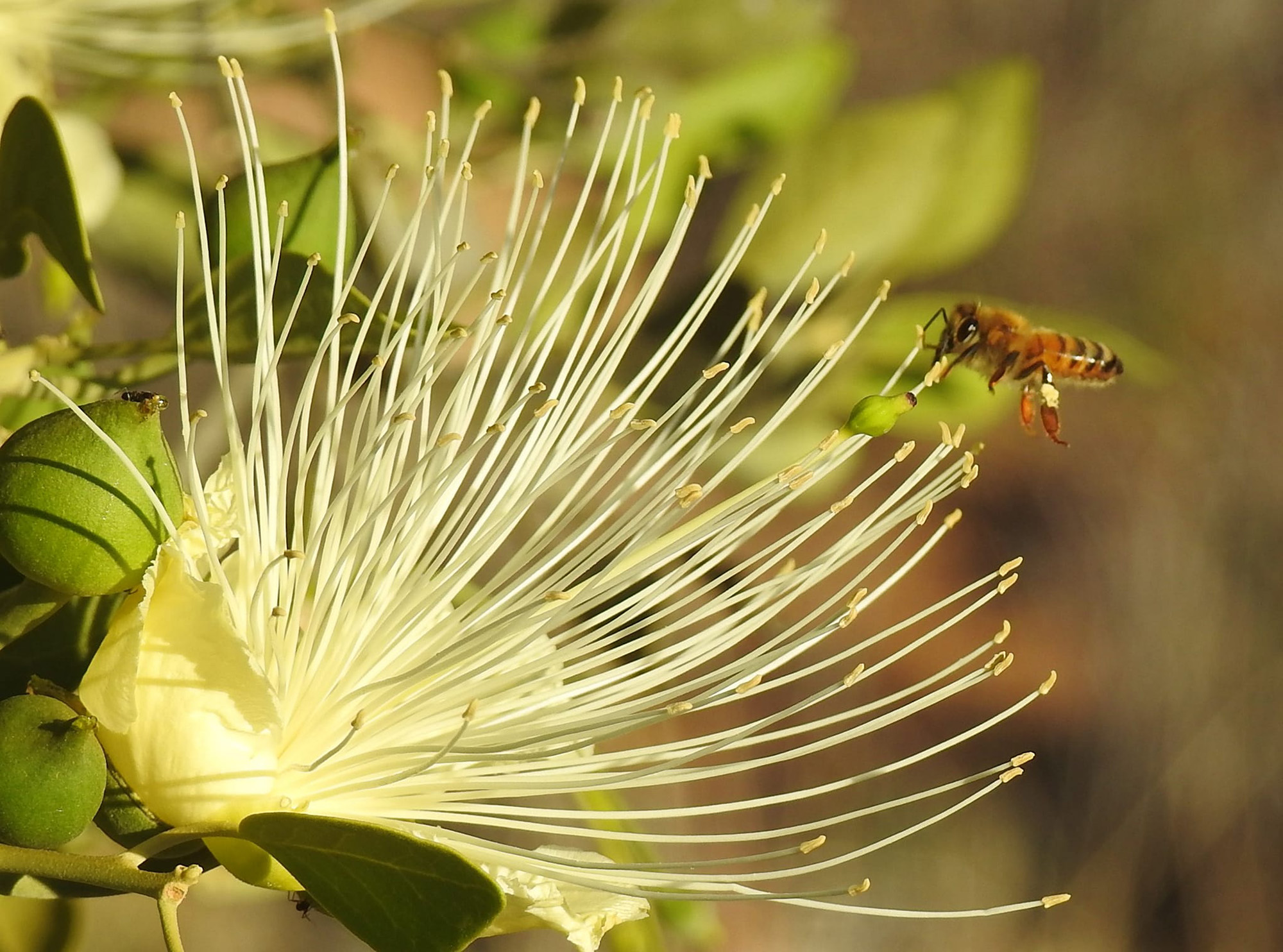 Winner: Wendy Mactaggart. Image location: Alice Springs.