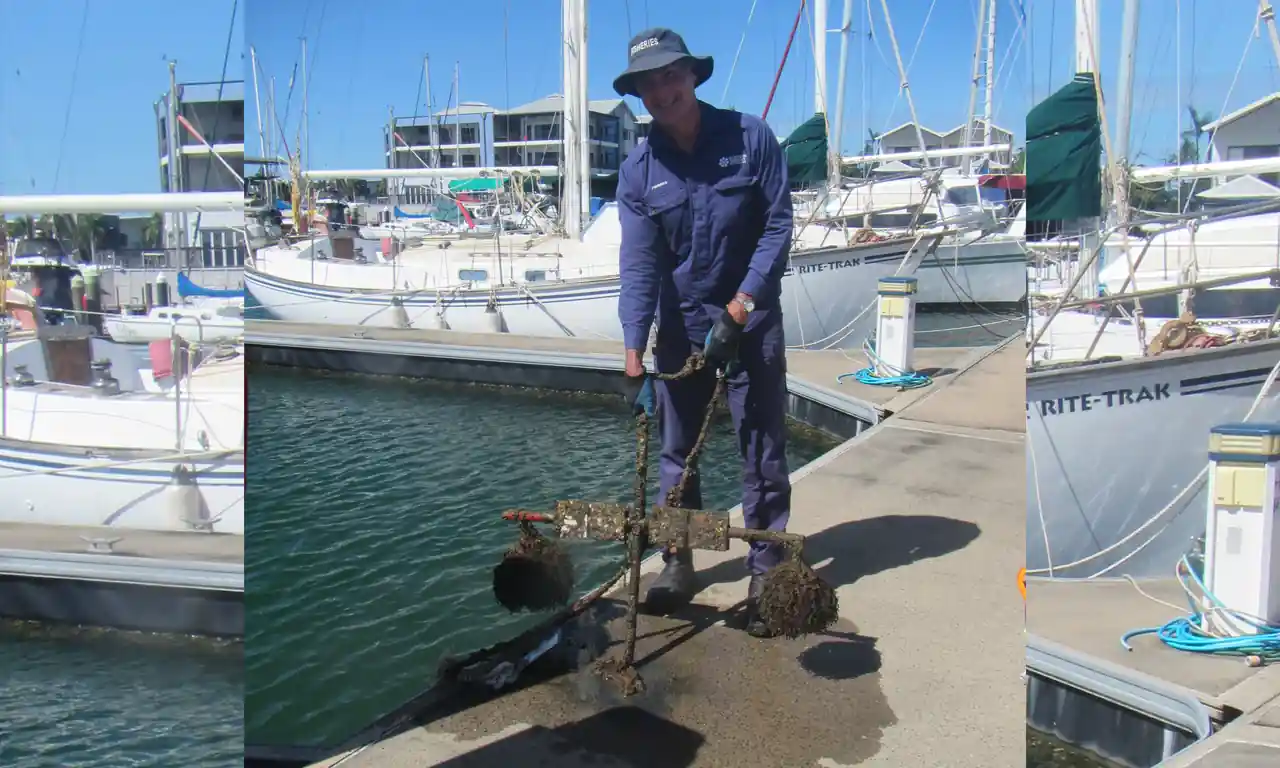 National Biosecurity Week: protecting Territory waters and lifestyle