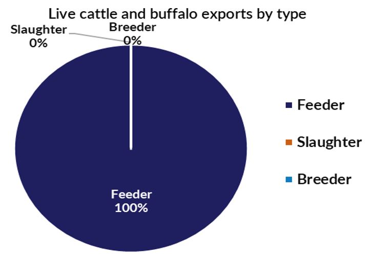 Pie chart of live cattle and buffalo exports - feeder 100%