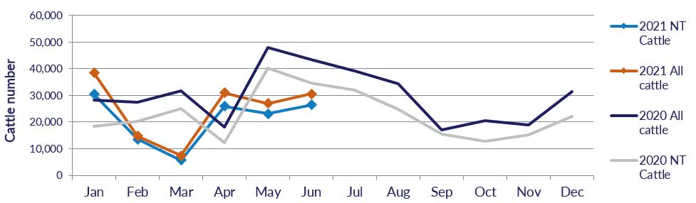 Graph showing cattle numbers through the Port of Darwin since January 2020