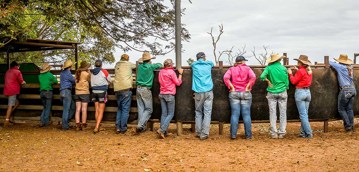 Cattle station staff