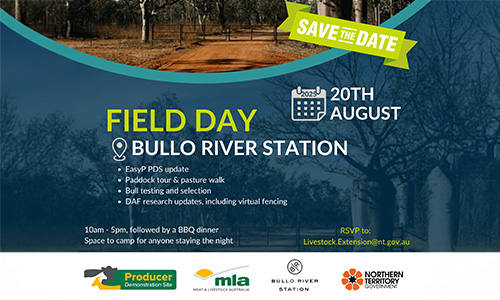 Field Day at Bullo River Station