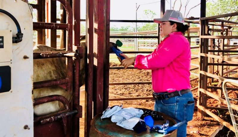 Tagging trial off to a flying start
