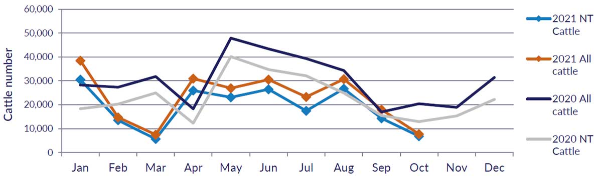 Graph showing cattle numbers through the Port of Darwin since January 2020